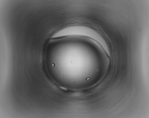 X0000113580505200909251158