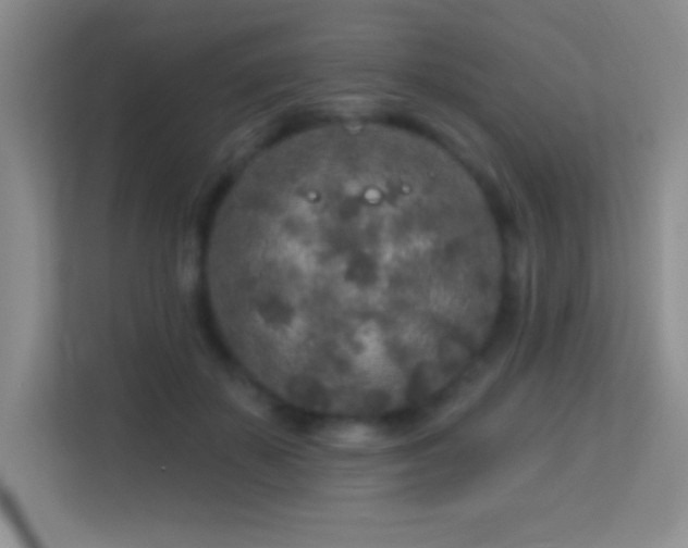 X0000113580507200909251158