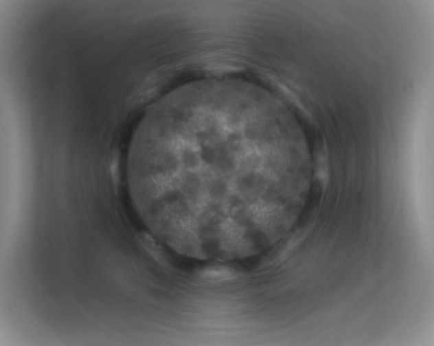 X0000113580519200909251157