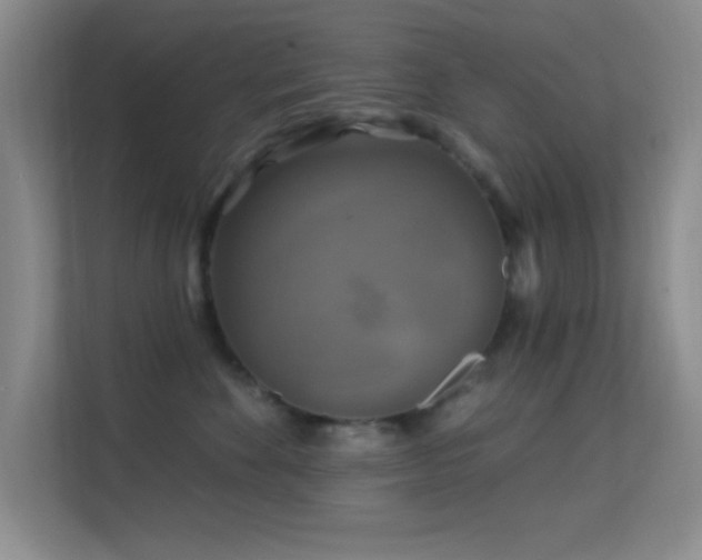 X0000113580524200909251157