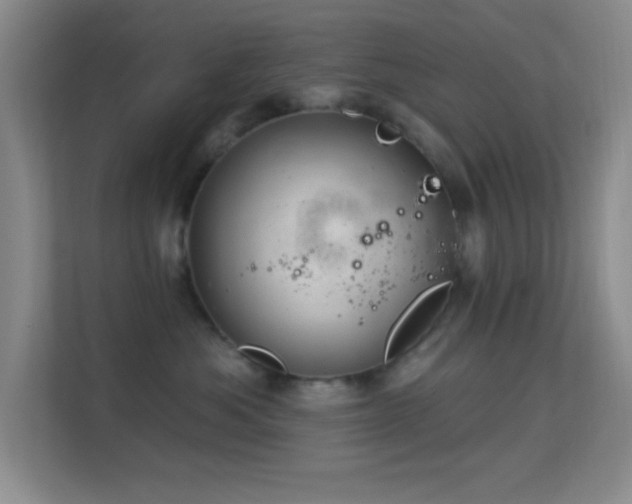 X0000113580525200909251157