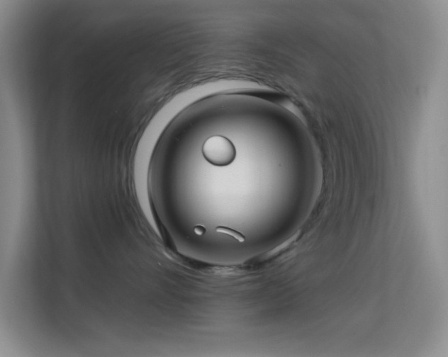 X0000113580528200909251157