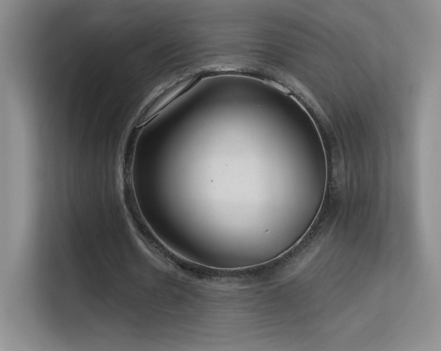 X0000113580530200909251157