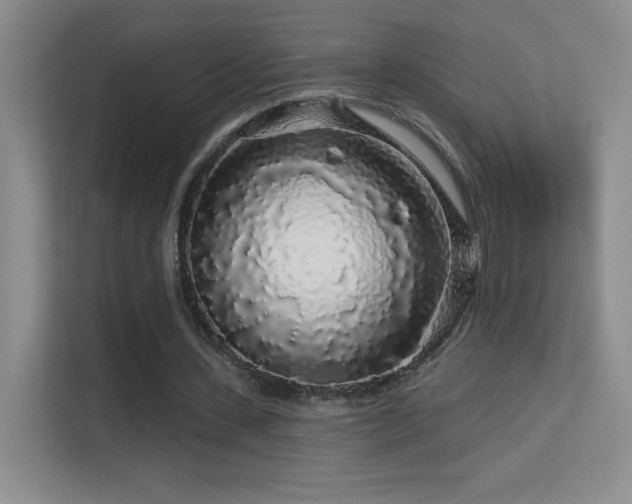 X0000113580531200909251157