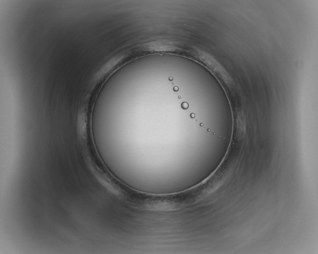 X0000113580533200909251157