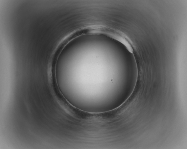 X0000113580535200909251157