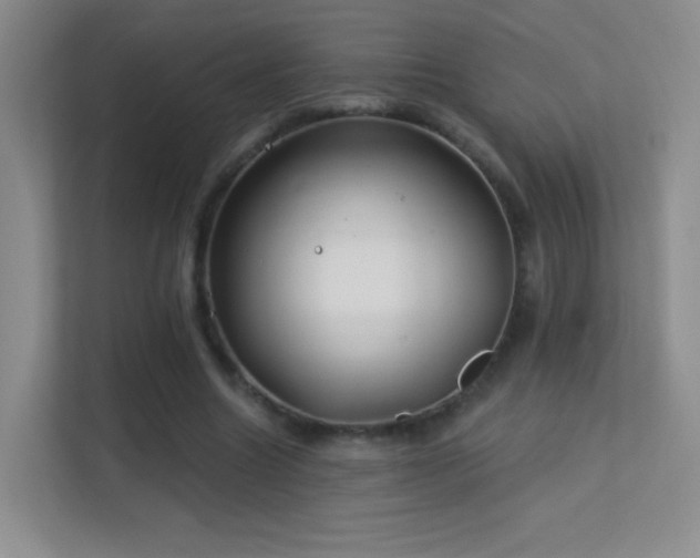 X0000113580538200909251157