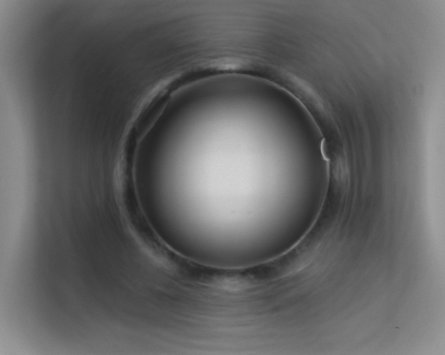 X0000113580540200909251157