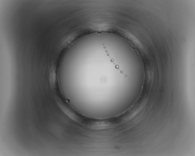 X0000113580541200909251157