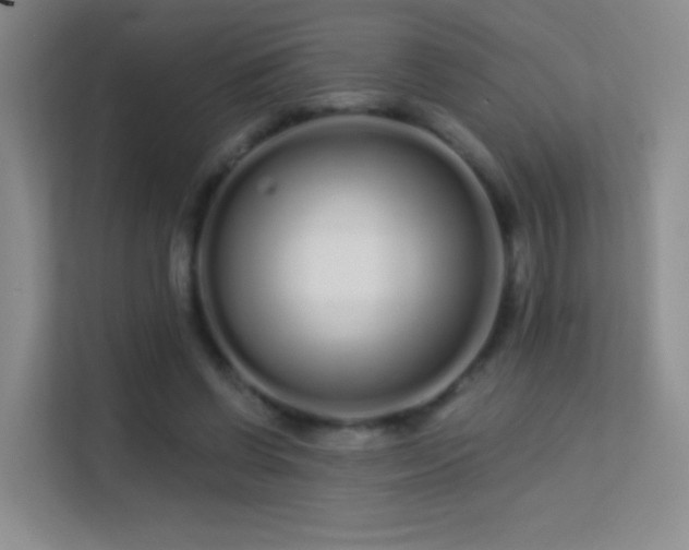 X0000113580542200909251157