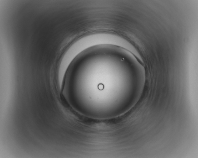 X0000113580544200909251157