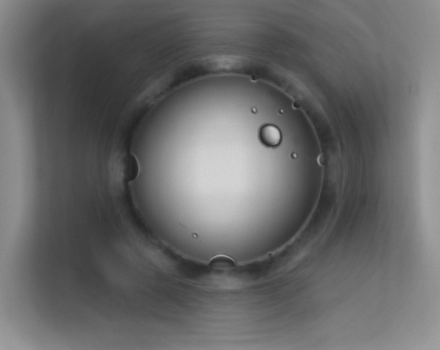 X0000113580545200909251157