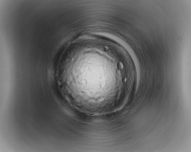 X0000113580547200909251157