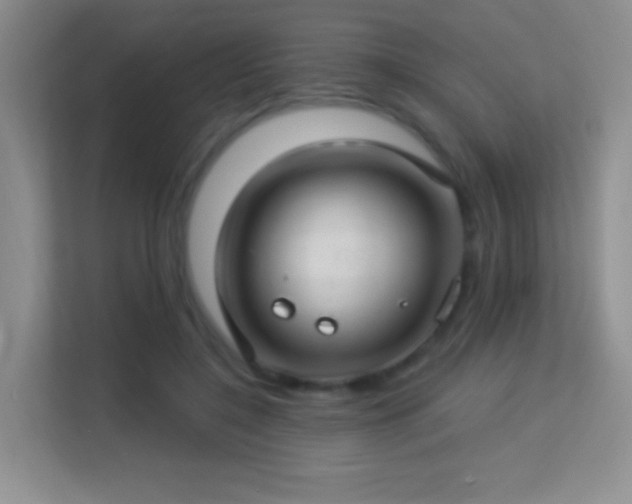 X0000113580548200909251157