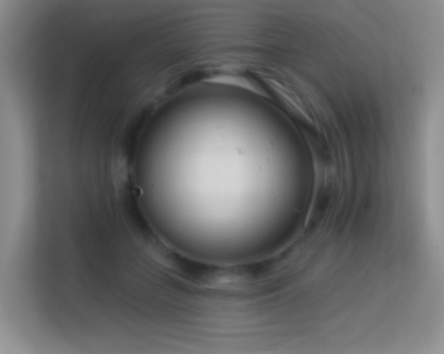 X0000113580555200909251157