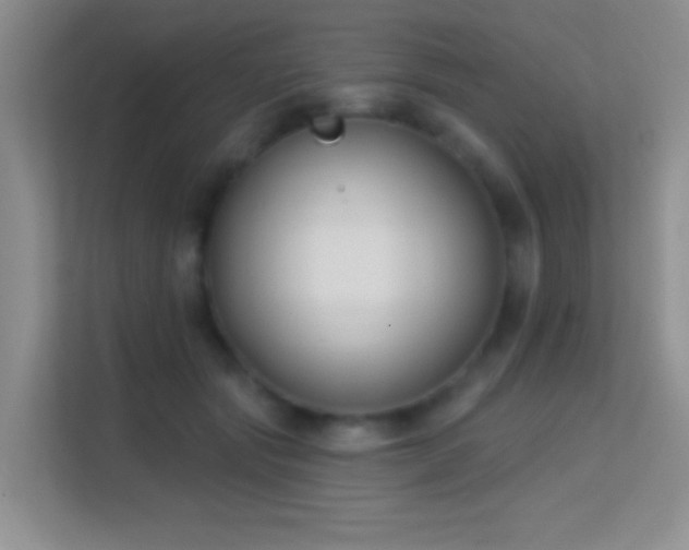 X0000113580557200909251157