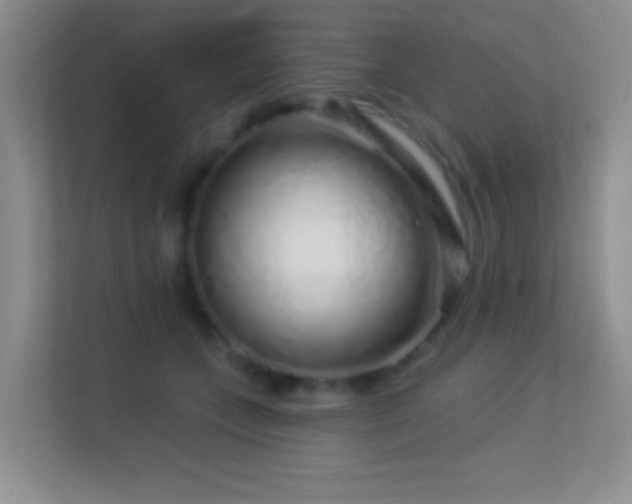 X0000113580559200909251157