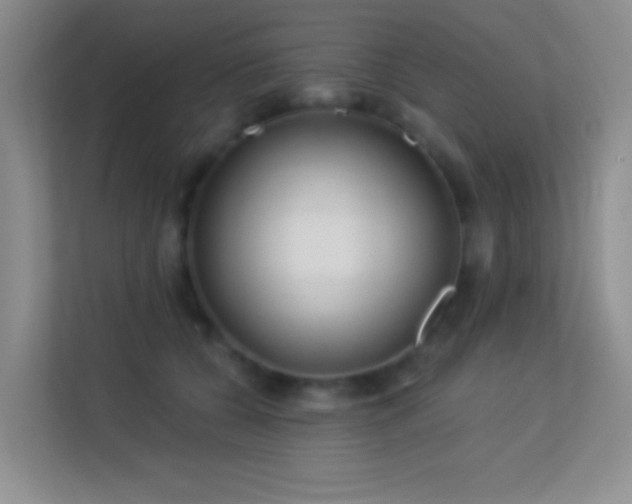 X0000113580560200909251157