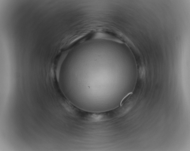 X0000113580570200909251157