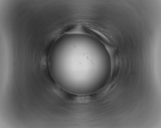 X0000113580571200909251157