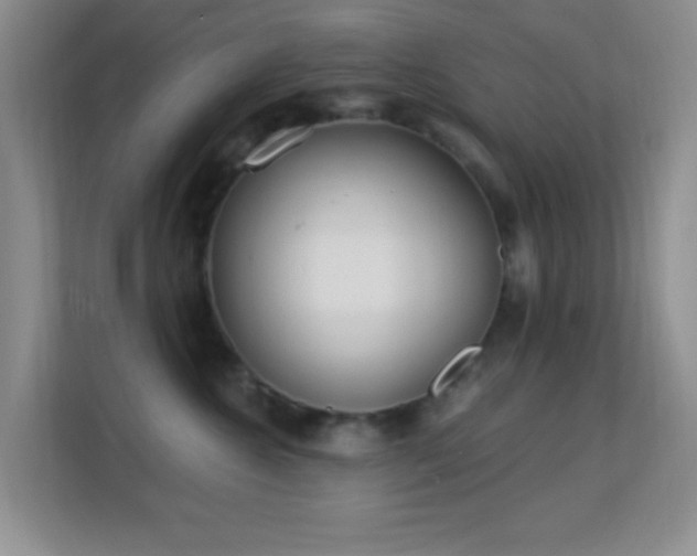 X0000113580572200909251157