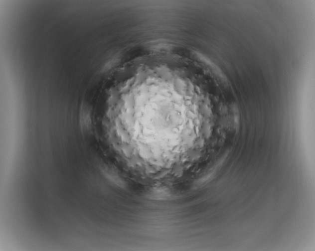 X0000113580573200909251157