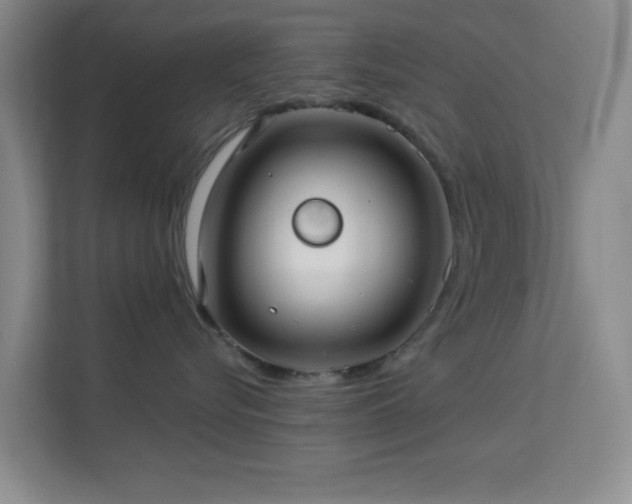 X0000113580576200909251157