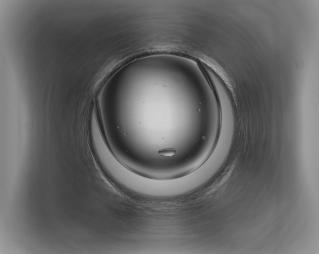 X0000113580577200909251157