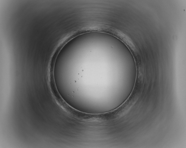 X0000113580578200909251157