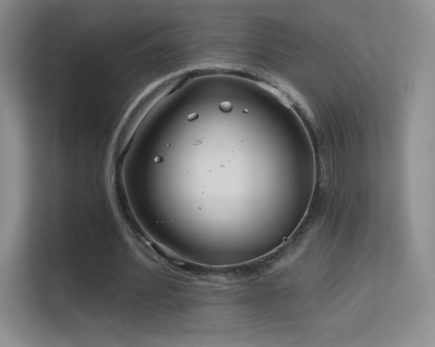 X0000113580580200909251157