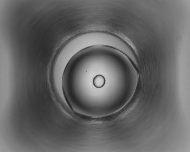 X0000113580581200909251157