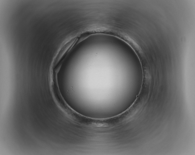 X0000113580582200909251157