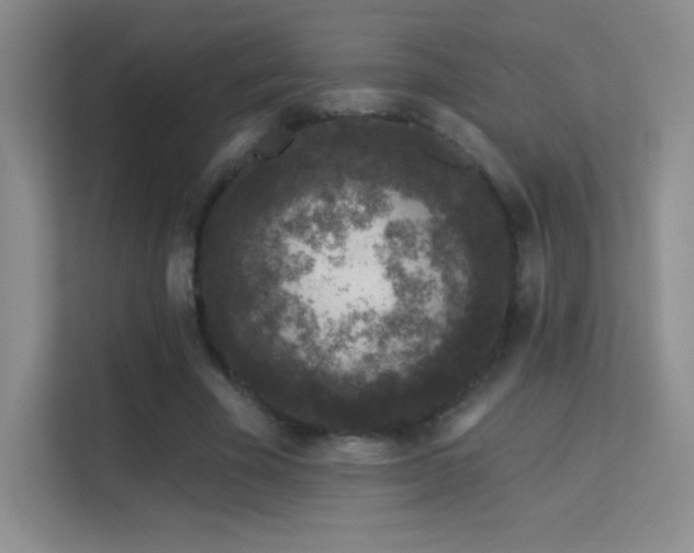 X0000113580585200909251157