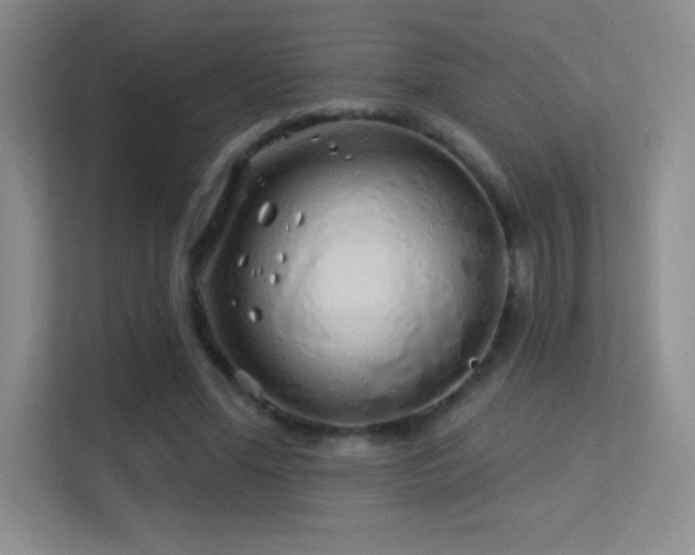 X0000113580588200909251157