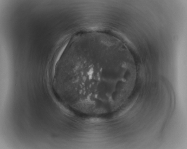 X0000113580590200909251157