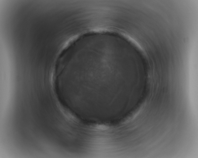 X0000113580592200909251157