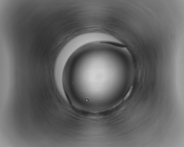 X0000113580595200909251156