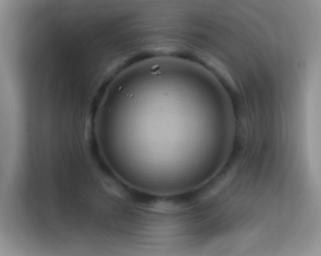 X0000113580596200909251156