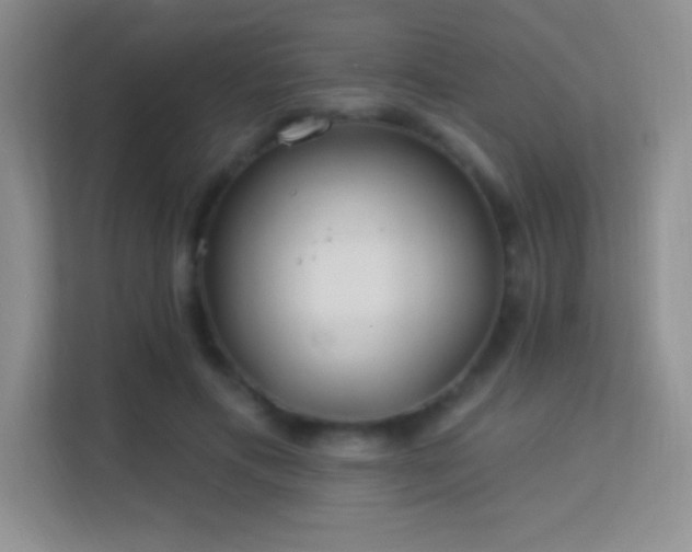 X0000113580597200909251156