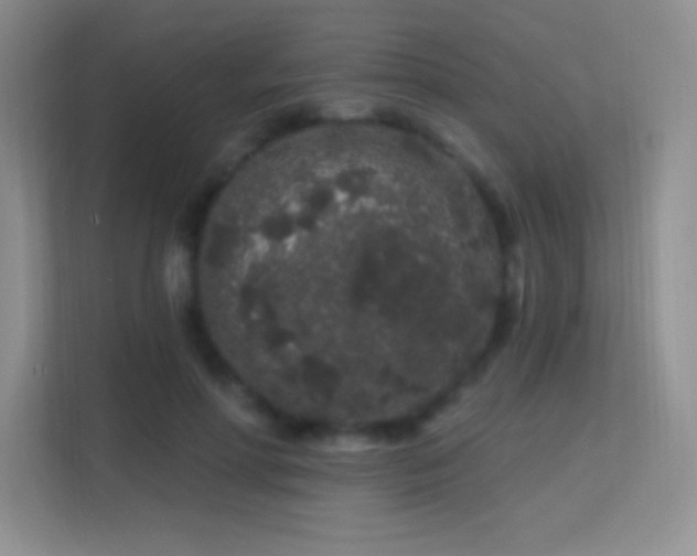 X0000113580598200909251156