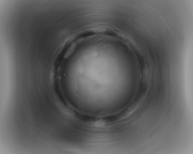 X0000113580600200909251156