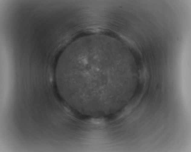 X0000113580606200909251156