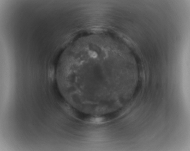 X0000113580610200909251156