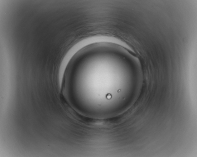 X0000113580611200909251156