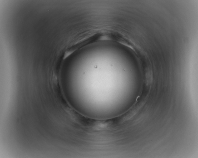 X0000113580613200909251156