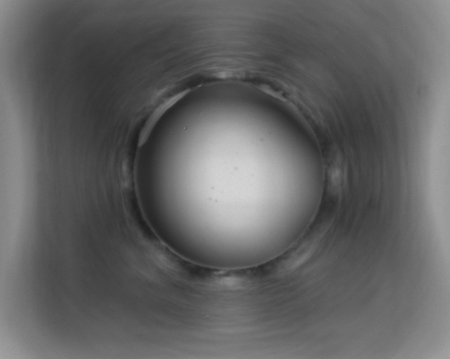 X0000113580620200909251156