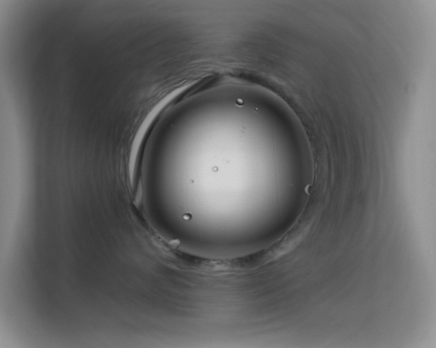 X0000113580624200909251156