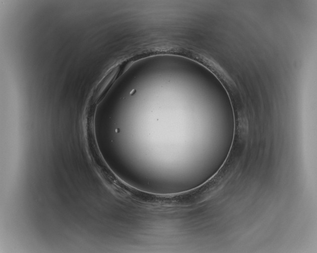 X0000113580626200909251155