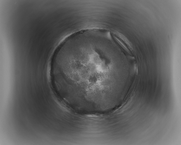 X0000113580627200909251155