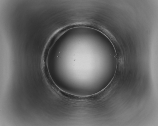 X0000113580628200909251156